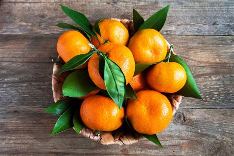 6 Unterschiede zwischen Mandarine & Clementine - Plantura