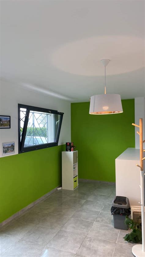 Flosi Décoration Peintres à Toulouse Travaux de Peinture Bâtiment