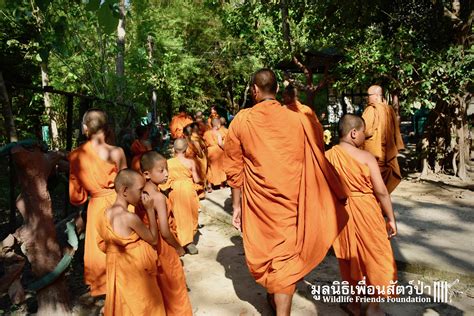 WFFT Welcomes Mini-Monks - Wildlife Friends Foundation Thailand