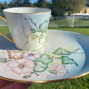 Vintage Japan Hand Painted Floral Tea Cup And Snack Plate Combination