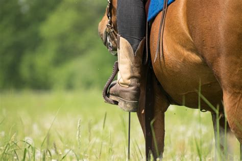 The 5 Best Boots For Western Horseback Riding - Equineigh