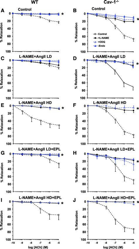 Effect Of Endothelium Removal And Ex Vivo Blockade Of The No Cgmp