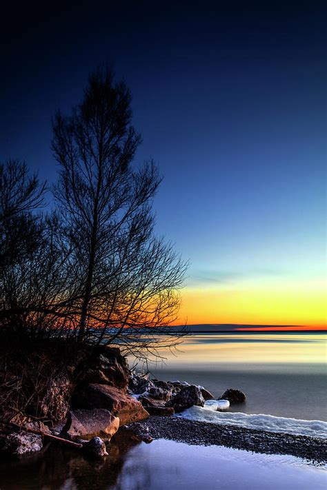 The Naked Trees Photograph By CA Johnson Fine Art America