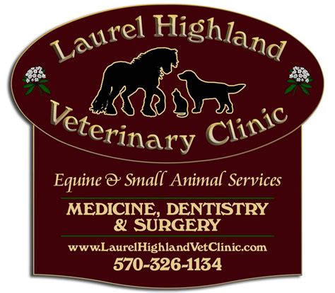 Laurel Highland Veterinary Clinic | Williamsport PA