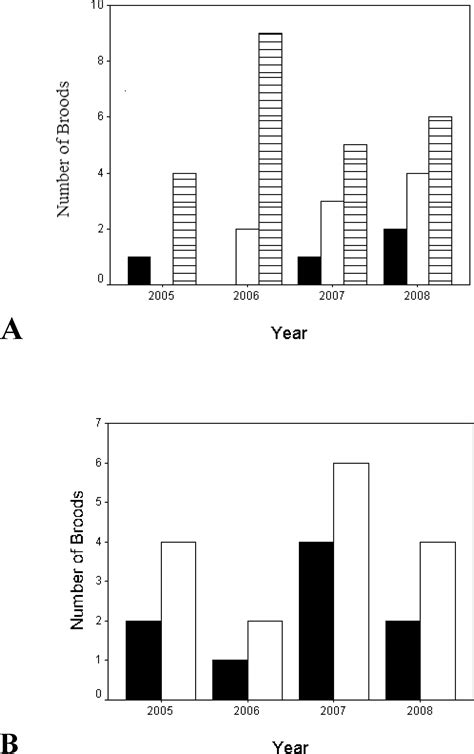 Nestling Sex Ratio In A Critically Endangered Dimorphic Raptor Ridgway S Hawk Buteo Ridgwayi