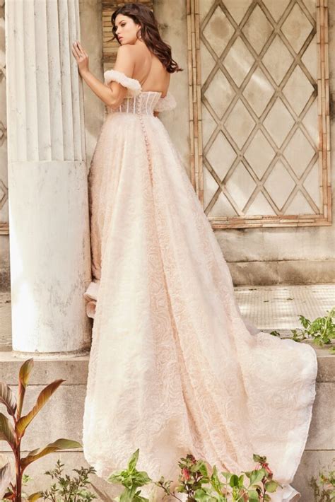 Nude Corset Bodice A Line Dress Jb Jovani