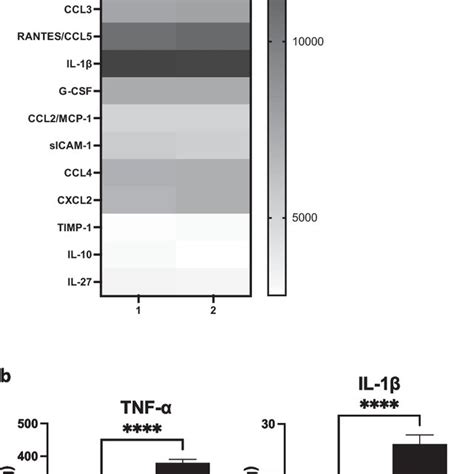 The Cytokine And Chemokine Profiles In The Conditioned Medium Bone Download Scientific Diagram