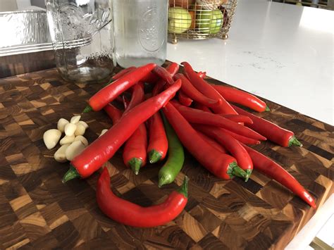 Hot Sauce Incoming R Spicy