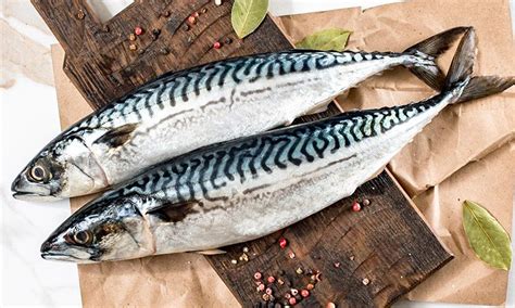 «Мурманское сало» / Едальня