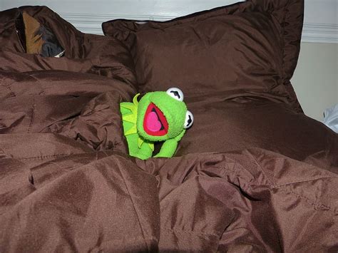 Free Download Plush Toy Sleep Tired Bed Kermit Frog Kermit Frog Day Adults Only Pxfuel