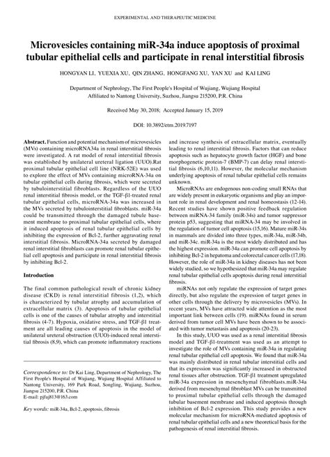 PDF Microvesicles Containing MiR 34a Induce Apoptosis Of Proximal