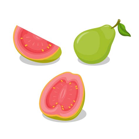 Guava Fruit Whole And Slice Object Collection Set Illustration Vector