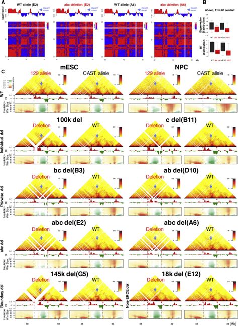 Identifying Cis Elements For Spatiotemporal Control Of Mammalian Dna