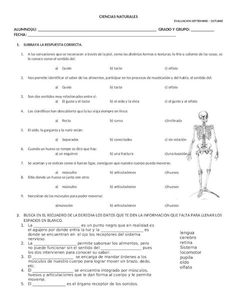 DOC EXAMEN CIENCIAS NATURALES PRIMER BIMESTRE CUARTO GRADO DOKUMEN TIPS