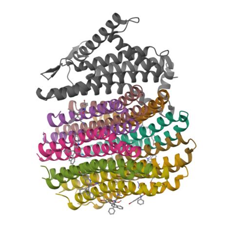 Rcsb Pdb J Cryo Em Structure Of Mycobacterium Tuberculosis Atp