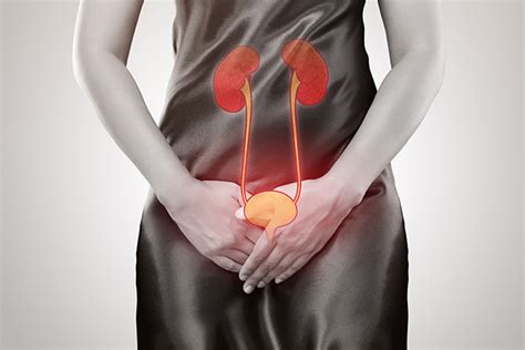 Urinary Tract Infections And Interstitial Cystitis Lorna Vanderhaeghe