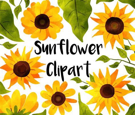 Sunflower Clip Art