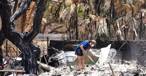 Las Muertes Por Los Incendios Forestales En Hawaii Ascienden A 101