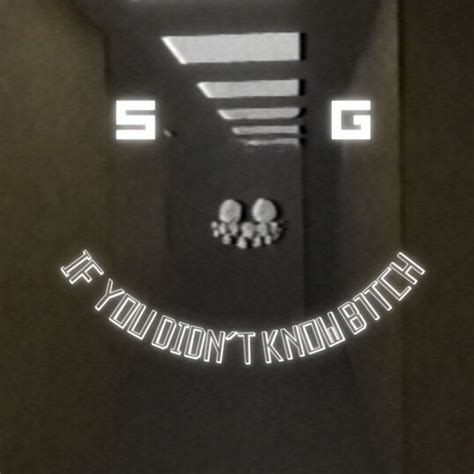 ‎If You Didn't Know B1tch - Single par SG sur Apple Music