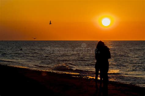 Voyeur Lesbian Beach Stock Photos Free Royalty Free Stock Photos