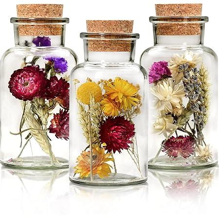 Comforder Trockenblumen Im Glas Mit Korken Er Set Getrocknete Blumen