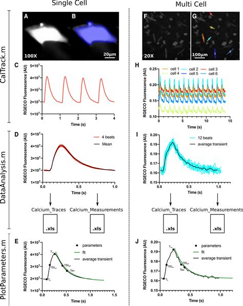 Caltrack High Throughput Automated Calcium Transient Analysis In