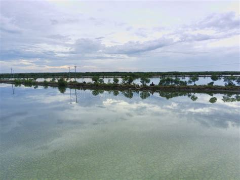 Mangroven Teiche In Mengare Gresik Ost Java Indonesia Stockfoto Bild