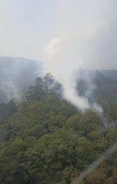 En Oaxaca Incendios Forestales Dejaron Seis Muertos Grupo Milenio