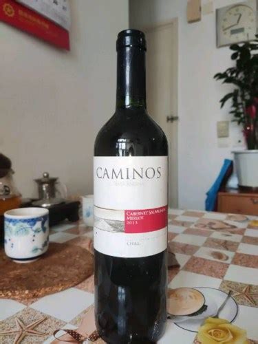 Ii Caminos Cabernet Sauvignon Merlot Vivino Us