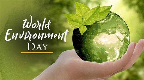 World Environment Day 2023 Date Theme History Significance