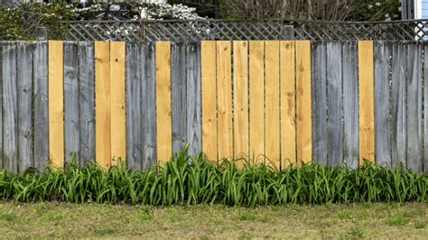 When To Repair Vs Replace Your Fence A Comprehensive Guide