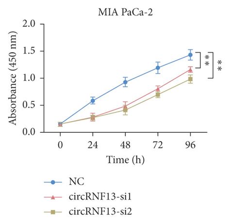 CircRNF13 Knockdown Inhibits Pancreatic Cancer Cell Proliferation And