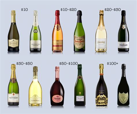 Wine Folly's Handy Champagne Guide | Wine Folly