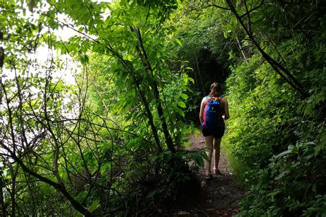 Top 13 Things to Do in Periyar National Park & Overnight Stay in Forest