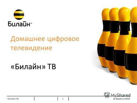 Презентация на тему: "© Beeline 2009 Стандартные цвета Билайн 1 ...