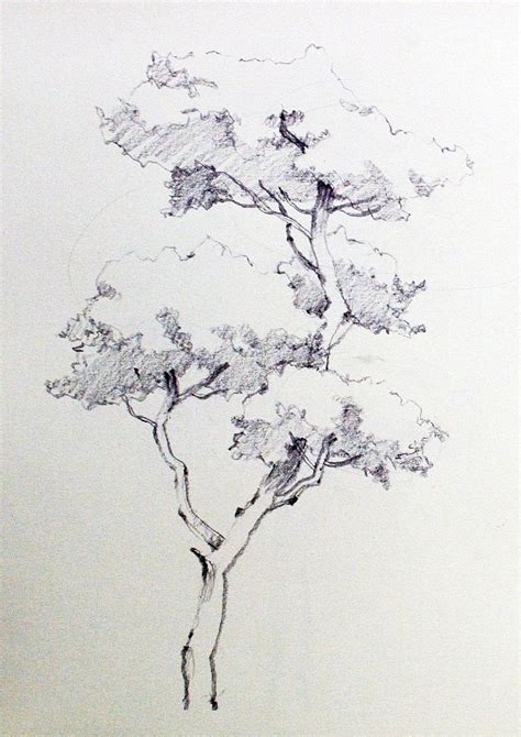 draw  tree artofit