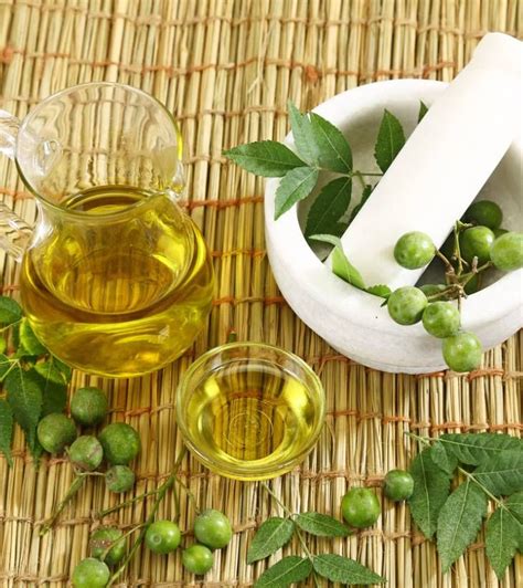 Aceite De Neem Usos Y Beneficios En Las Plantas