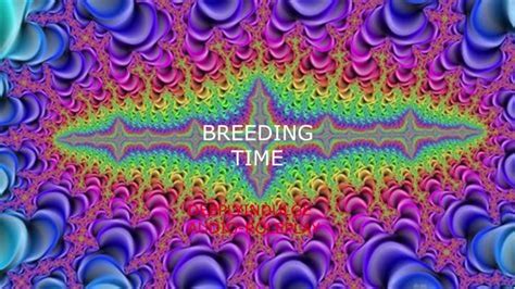 DIRTY BREEDING WHORE GETS IMPREGENATED AND CREAMPIED DEEP DADDY DOM EROTICA Pornhub Gay