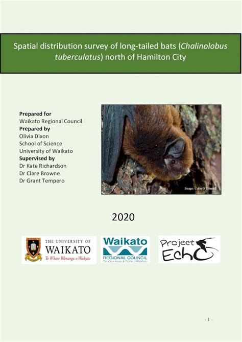 PDF Spatial Distribution Survey Of Long Tailed Bats Chalinolobus