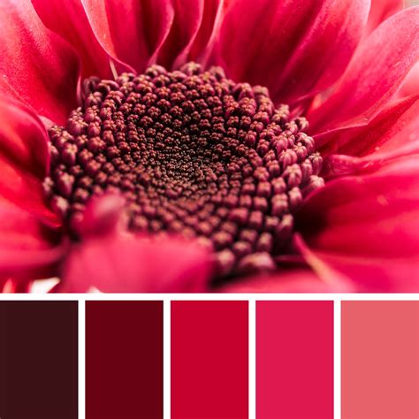 maroon color chart maroon colour code cmyk wuttl