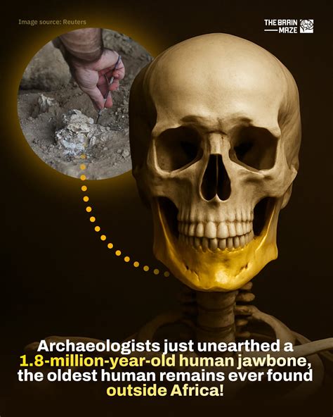 The Brain - Archaeologists in Georgia have discovered a *1.8-million