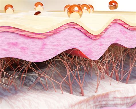 5 Simple Habits To Prevent Premature Skin Aging