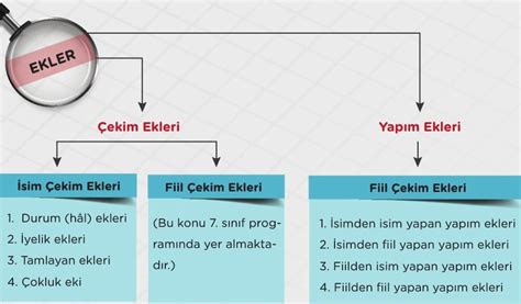 Ekler 6 Sınıf Türkçe Konu Anlatımı Örnekler Sorular