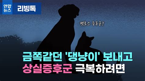 리빙톡 무지개다리 건넌 반려동물상실증후군 극복하려면 나무뉴스