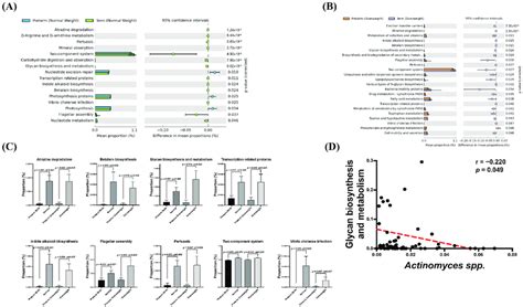 Actinomyces Spp Was Negatively Correlated With Glycan Biosynthesis And