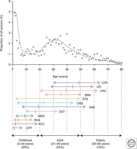 The Role of the p53 Protein in Stem-Cell Biology and Epigenetic Regulation