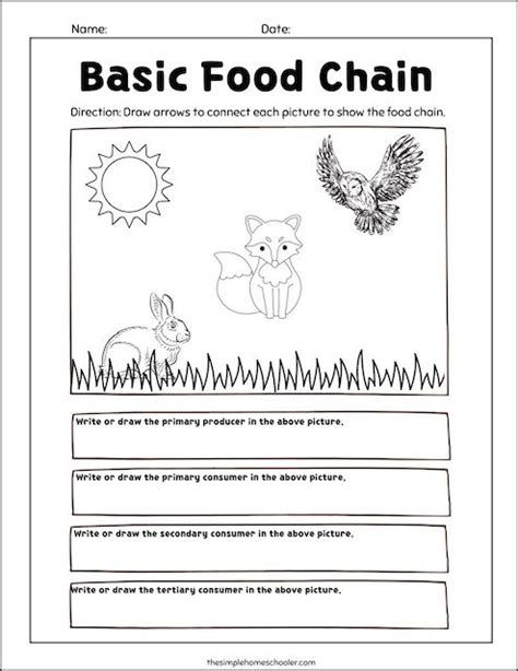 Forest Food Chain – Cut and Paste Worksheet | Teach Starter ...