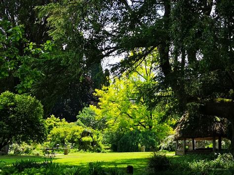 Giardino Di Ninfa Cisterna Di Latina All You Need To Know BEFORE You Go With Photos