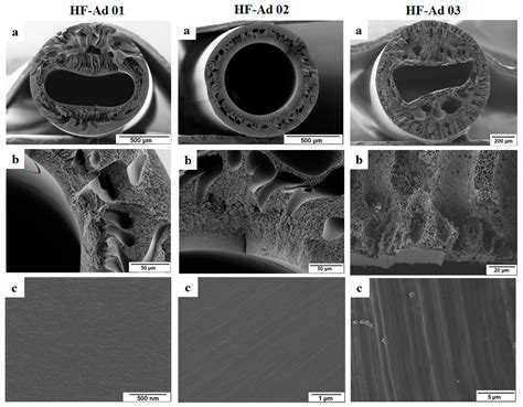 Membranes Free Full Text Hollow Fiber Membranes Of Blends Of