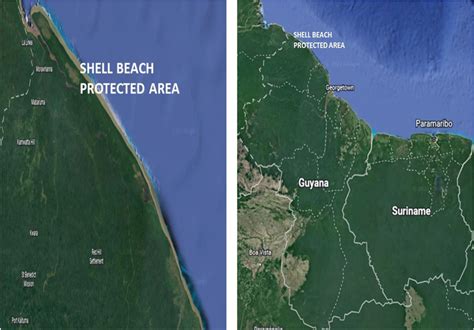 Map of the Shell Beach and its position in Guyana | Download Scientific Diagram